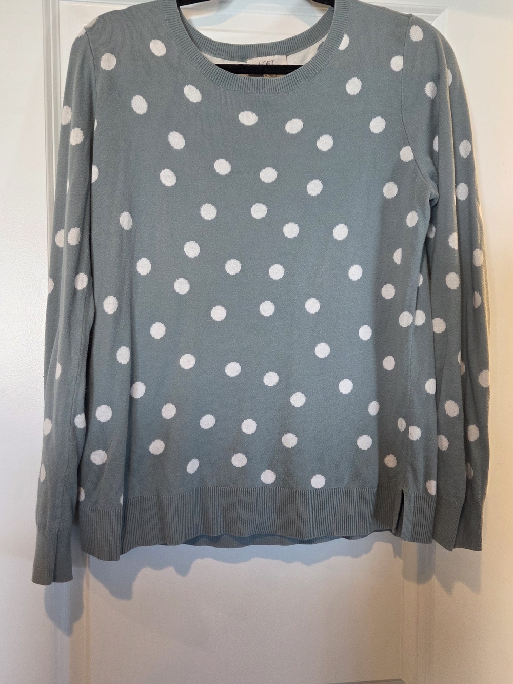 LOFT Soft Blur Polka Dot Crewneck Sweater